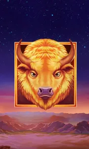 Buffalo's Sun 2